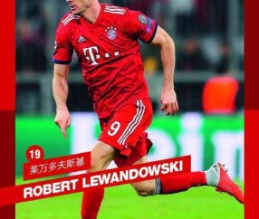 爱游戏中国-阿贾克斯全队身价