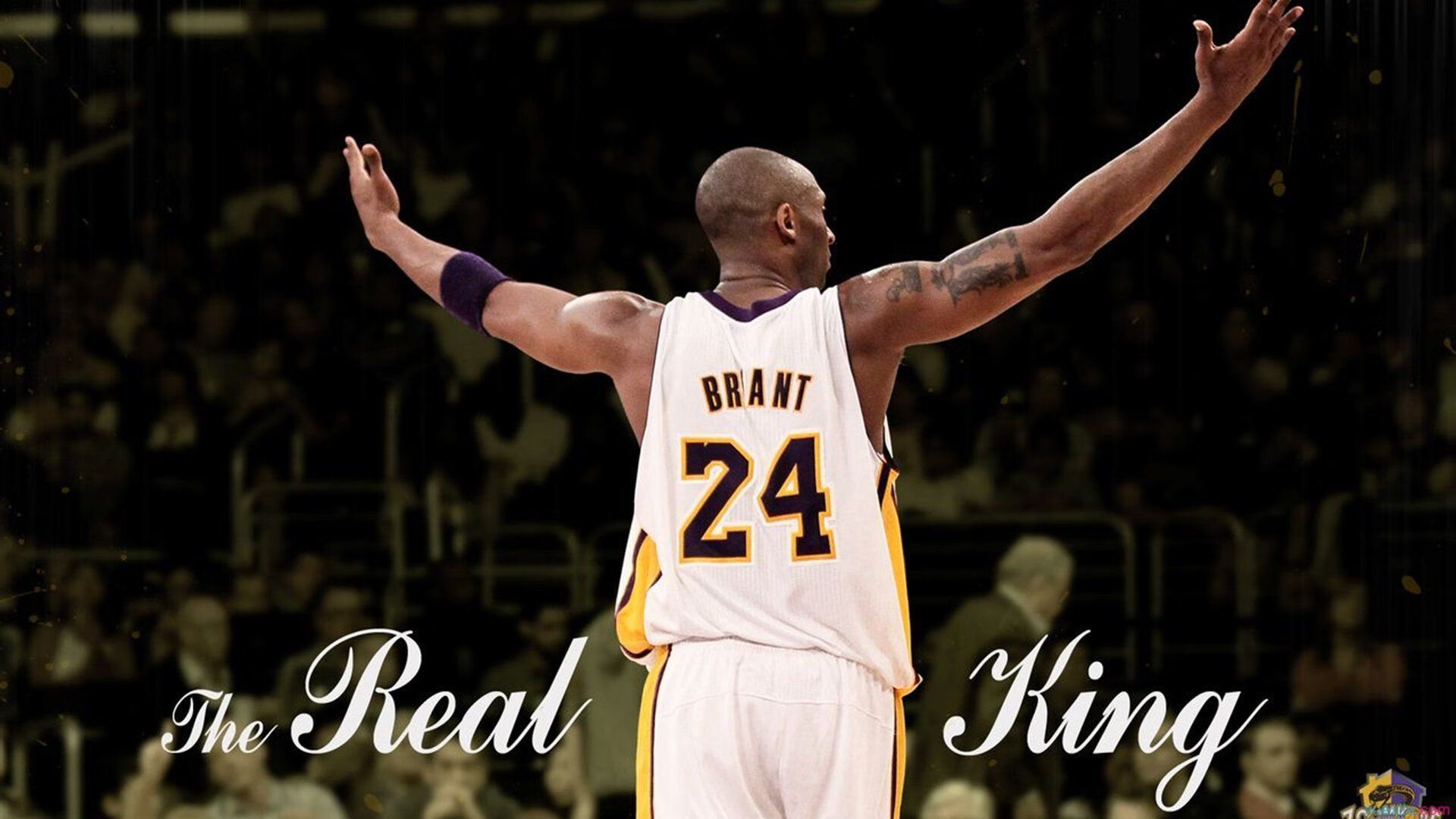 综合格斗赛场焦点！葡萄牙队对阵日本队，爆冷逆转，黑马强势击败劲敌